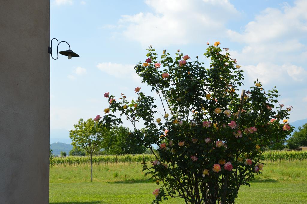 Agriturismo Morgan Montebelluna Luaran gambar